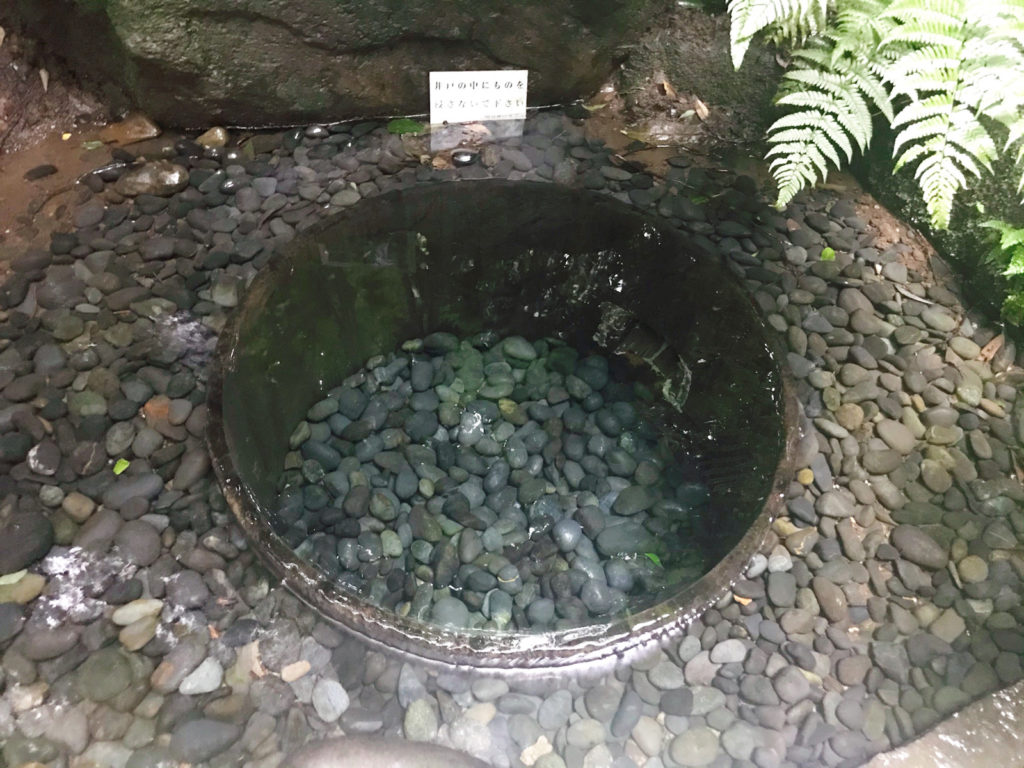 明治神宮御苑 江戸初期から湧き出る水 清正井 きよまさのいど や花菖蒲田が楽しめる 行き方と見所をご紹介 ねーさんらいふ
